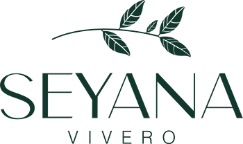 Vivero Sayana